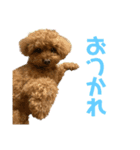 happy(400)（個別スタンプ：1）