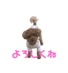 happy(400)（個別スタンプ：3）