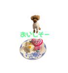happy(400)（個別スタンプ：5）