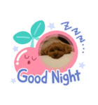 happy(400)（個別スタンプ：6）