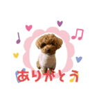 happy(400)（個別スタンプ：7）
