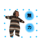 ★ はるひづ兄弟3 ★（個別スタンプ：13）