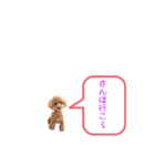 サンステコハク3（個別スタンプ：5）