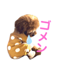 サンステコハク3（個別スタンプ：6）