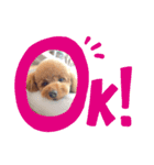 サンステコハク3（個別スタンプ：9）