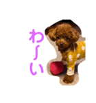 サンステコハク3（個別スタンプ：11）