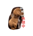 サンステコハク3（個別スタンプ：14）