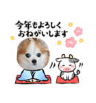 チワワのchapi_part2（個別スタンプ：4）