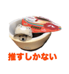 飼い主が使ってるよ（個別スタンプ：16）
