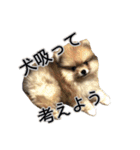 飼い主が使ってるよ（個別スタンプ：18）