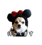 飼い主が使ってるよ（個別スタンプ：35）