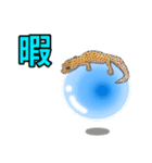 ヒョウモントカゲモドキ(レオパ)の日常（個別スタンプ：4）