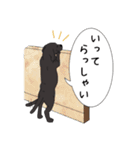 黒ラブバロン4（個別スタンプ：25）