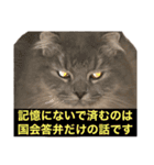 1歳になったミミ（個別スタンプ：7）