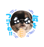 KOKINⓒ2（個別スタンプ：3）