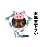 KOKINⓒ2（個別スタンプ：7）