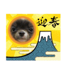KOKINⓒ2（個別スタンプ：10）