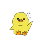 ひかえめなヒヨちゃん（個別スタンプ：1）