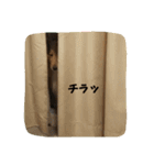 シェルティ レオンくん  2（個別スタンプ：33）