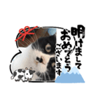 Happy New Yearち（個別スタンプ：2）