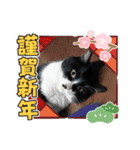 Happy New Yearち（個別スタンプ：4）