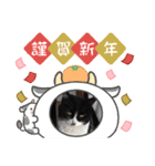 Happy New Yearち（個別スタンプ：6）