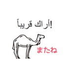 アラビア語と日本語 女性用（個別スタンプ：30）