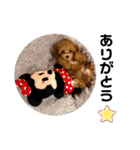 使えるivyとお友達（個別スタンプ：5）