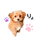 使えるivyとお友達（個別スタンプ：6）