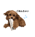 使えるivyとお友達（個別スタンプ：7）