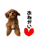使えるivyとお友達（個別スタンプ：8）