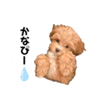 使えるivyとお友達（個別スタンプ：10）