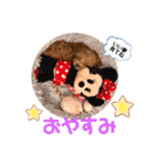 使えるivyとお友達（個別スタンプ：15）