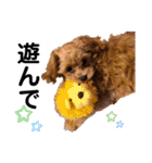 使えるivyとお友達（個別スタンプ：16）