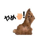 使えるivyとお友達（個別スタンプ：17）