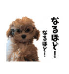 使えるivyとお友達（個別スタンプ：19）