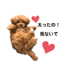 使えるivyとお友達（個別スタンプ：22）