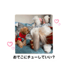 使えるivyとお友達（個別スタンプ：23）