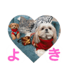 使えるivyとお友達（個別スタンプ：24）