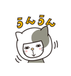 cocomiuのJSキャットDaily（個別スタンプ：25）