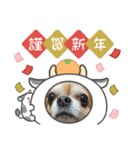 うちのてつです（個別スタンプ：2）