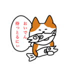 三河出身ねこだにぃ。（個別スタンプ：7）