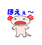 マメルリハインコとウーパールーパー（個別スタンプ：13）