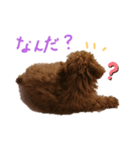 ティナのスタンプ7（個別スタンプ：1）
