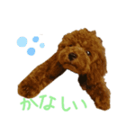 ティナのスタンプ7（個別スタンプ：4）