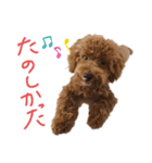 ティナのスタンプ7（個別スタンプ：5）