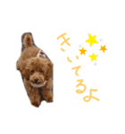 ティナのスタンプ7（個別スタンプ：6）