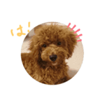 ティナのスタンプ7（個別スタンプ：7）