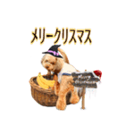 そら豆くん winter（個別スタンプ：4）