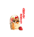 そら豆くん winter（個別スタンプ：6）